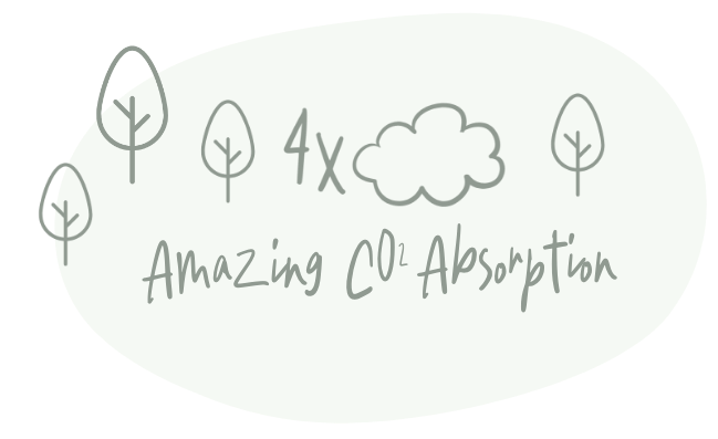 co2 Absorbtion