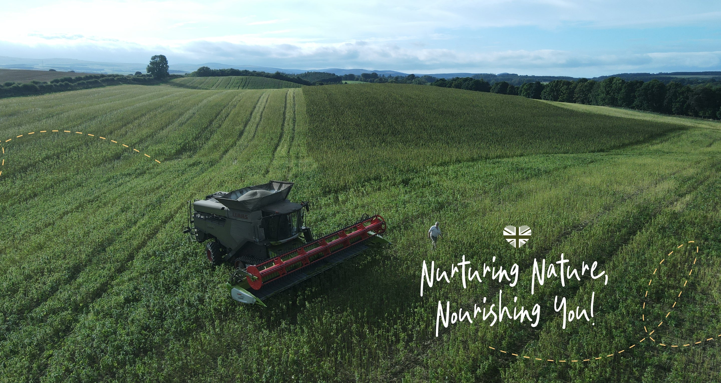 Harehope Hemp Field