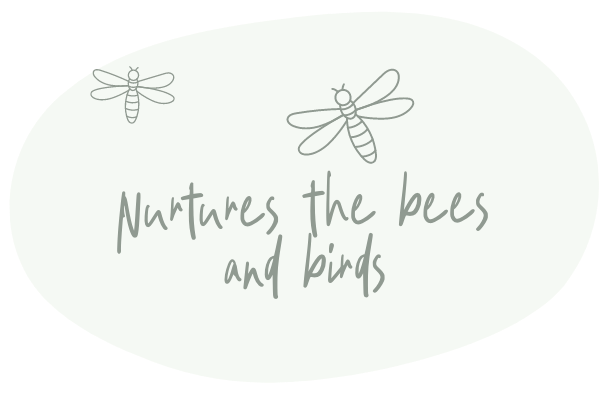 Nurturing Nature