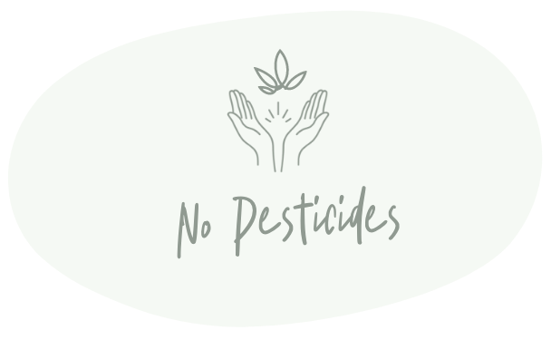 No Pesticides