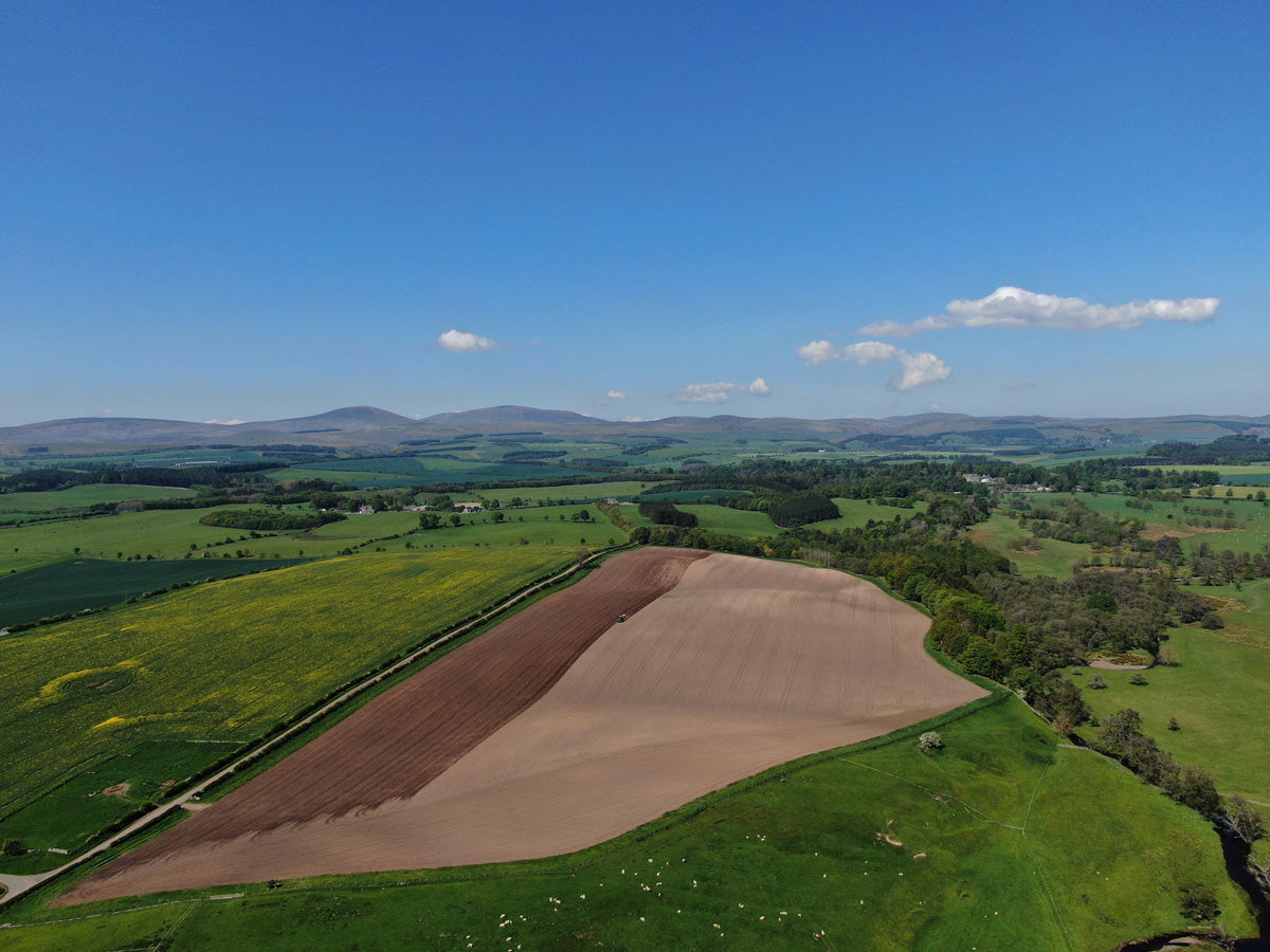 Harehope Fields